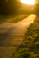 Wall Mural - Empty bike road in golden morning light.