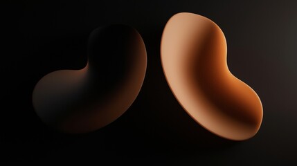 Poster - Two smooth, curved shapes, one dark and one light, are positioned against a dark background, creating a minimalist and abstract composition