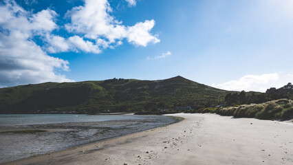 Wall Mural - Beautiful sandy beach otago peninsula new zealand dunedin calm ocean water clear blue sky