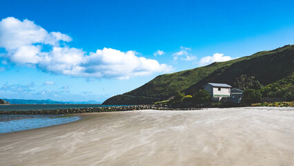 Wall Mural - Beautiful sandy beach otago peninsula new zealand dunedin calm ocean water clear blue sky