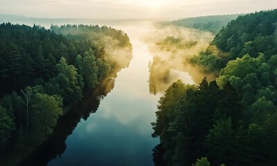 Wall Mural - serene river winding through misty forest landscape