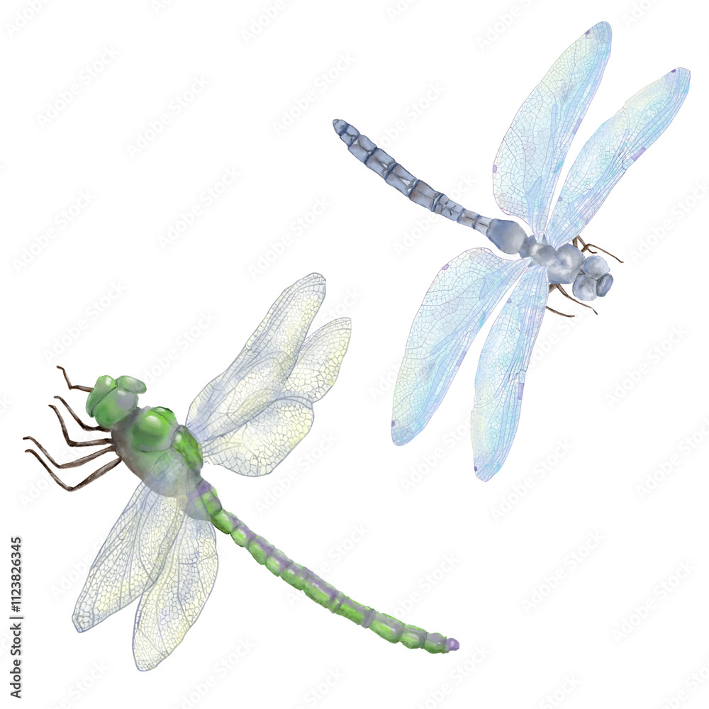 dragonflies, green and blue, with transparent wings in a set ...