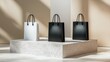 © Paul - Stylish matte black and white shopping bags on a raw concrete platform, strong shadows, ideal for luxury branding and advertising