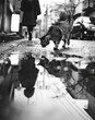 © sandi - Black and white photo of a cat investigating its reflection in a puddle on a city street.
