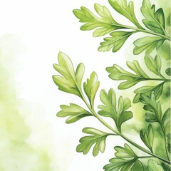 Poster - Beautifully rendered watercolor of lush  vibrant parsley leaves with soft color gradients and a natural  organic aesthetic  The fresh  botanical design creates a serene