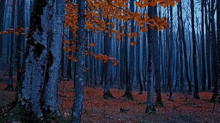 Poster - A serene forest scene with autumn leaves and tall trees at dusk, creating a tranquil atmosphere.