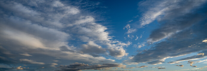 Wall Mural - panorama of a bright blue sky with radiating white and gray summer clouds