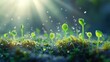 © Chaikit - Plant development series, morning mist atmosphere, fertile ground detail, gentle watering moment, progressive growth stages, sunlight bokeh effects, fresh spring sprouts, nature care photography