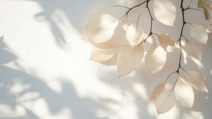 Wall Mural - Bright sunlight filters through leaves, casting soft shadows on a white wall, evoking a calm and tranquil atmosphere in the midday light