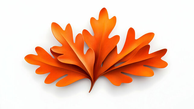 Midjourney Bot APP Today at 437 AM fall oak leaf, on white background, flat to camera make a abstract sculpture after