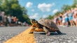 © OHMAl2T - Tortoise crossing a road during a lively outdoor event