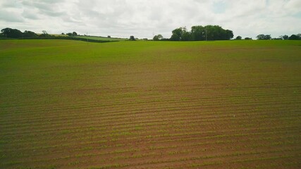 Poster - Aerial view of sunset over the Cheshire rural landscape with green fields