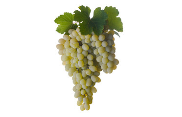 Wall Mural - a bunch of white grapes with leaves