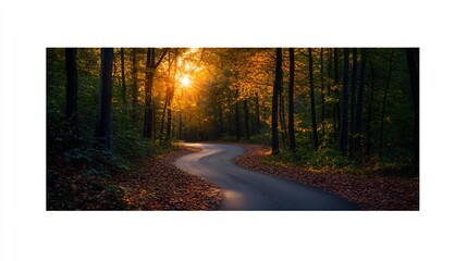 Canvas Print - Winding road through autumn forest at golden hour. Sunlight streams through trees.