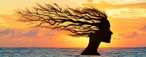 Aufkleber - The silhouette of Woman silhouette with flowing hair against sunset ocean artistic photography nature scene