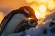© Juri - Close-up of a penguin tenderly cuddling her chick with a warm protective posture