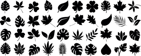 Wall Mural - Black leaf silhouette vector collection, featuring various styles like maple, monstera, palm, clover, and oak leaves. Ideal leaves for nature themed designs, decorations, and botanical patterns