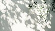 © yukinoshirokuma - 木漏れ日と白壁と観葉植物03