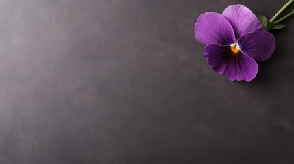 Aufkleber - A vivid pansy flower displays its delicate hues atop a textured surface, creating a striking visual with ample space for text on the left side of the composition