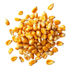 Poster - Corn Seed isolated on transparent background