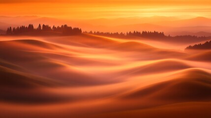 Fototapete - Endless fields roll gently under soft golden sunlight, showcasing vibrant colors and tranquil beauty perfect for capturing the peaceful essence of nature