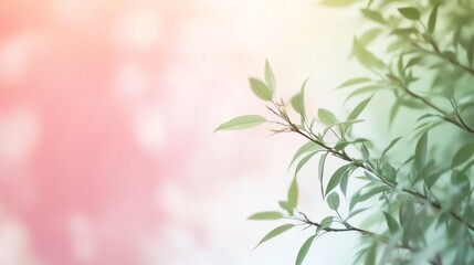 Wall Mural - Green leaves against a soft pink and yellow background with bokeh.