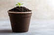 © Anton - Young plant in biodegradable pot symbolizing sustainability and growth
