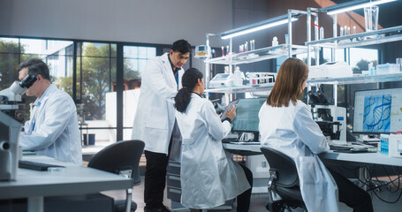 Aufkleber - Female Research Scientist Having a Conversation with an Bioengineer About the Effects of Different Pharmaceutical Drugs. Employees Looking at a Computer Software in a Modern Science Laboratory