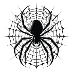Silhouette spider and web