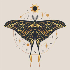 Wall Mural - Vector illustration with gold moon moth. For print for T-shirts and bags, decor element. Mystical and magical, astrology illustration