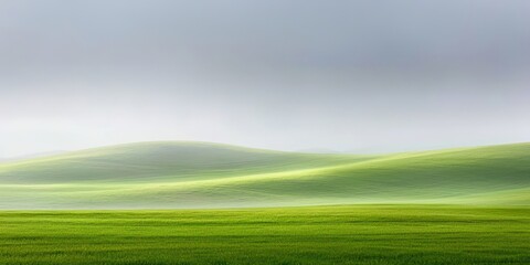 Poster - Field of grass with a cloudy sky in the background