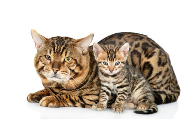 Poster - Big bengal cat and tiny kitten lying together. isolated on white background