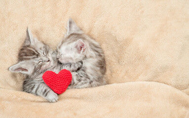 Leinwandbilder - Two maine coon kittens sleep on a bed at home with red heart. Empty space for text