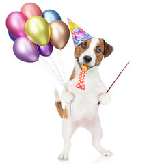 Poster - Happy jack russell terrier puppy wearing party cap, blows in party horn, holds balloons and points away on empty space. isolated on white background