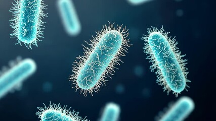Poster - Detailed Microscopic View of Bacterial Structures Highlighting Unique Cellular Features