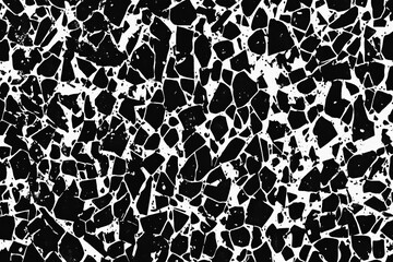 Poster - black and white photo of a rock patterned surface. The photo is grainy and has a rough texture