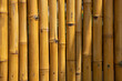 © Volodymyr - The bamboo background. Japan nature. Bamboo trees texture. Bamboo forest. Background Bamboo for banner, backdrop or texture