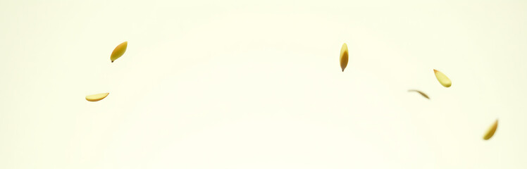 Poster - Mango leaves are falling against a pure white background, captured in sharp focus with great depth and clarity._00001_