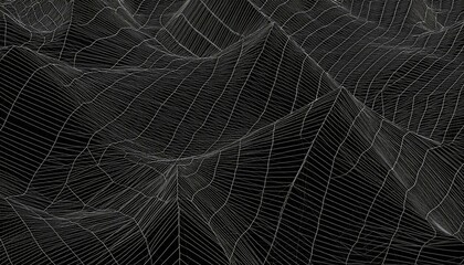 spider web with dew drops