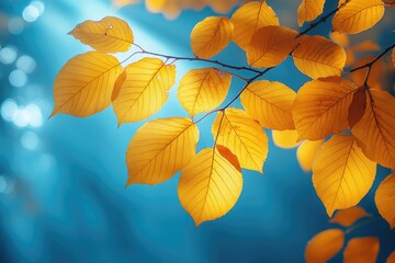 Poster - Close-up shot of a tree branch with yellow leaves, suitable for use in designs or photographs