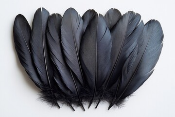 Poster - A collection of black feathers lying on a white surface, great for backgrounds or textures