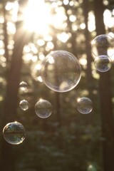 Poster - A cluster of soap bubbles suspended in mid-air, transparent and shimmering