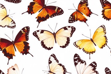 Poster - A cluster of colorful butterflies resting on a white background