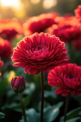 Poster - A close-up shot of a vibrant red flower bouquet with multiple blooms and greenery