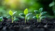 © GenerativeAIpicture - Fresh Green Seedlings Growing in Dark Soil with Sunlight Background