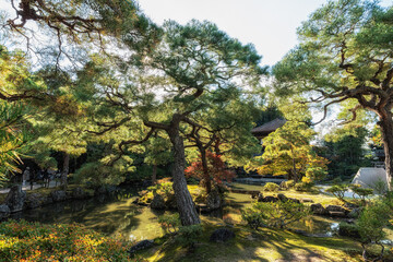 Wall Mural - Ginkakuji Higashiyama Jishoji