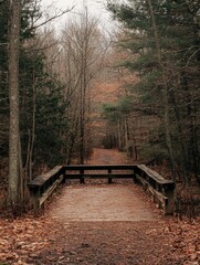Aufkleber - A tranquil pathway leads into thick woods, surrounded by trees and fallen leaves, inviting exploration and reflection in nature. Generative AI