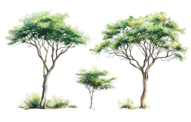 lush green trees on transparency background nature illustration white space vibrant environment arti