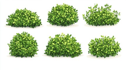 Fototapete - 26.A clean vector illustration set of green bushes on a white background, with each bush featuring lush, rounded shapes and layers of leaves. The collection includes a variety of sizes and shades of