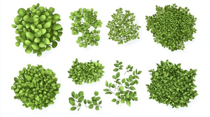 Fototapete - 27.A flat vector set of green bushes isolated on a white background, each bush illustrated with dense, rounded shapes and softly overlapping leaves. The leaves are arranged in subtle layers, creating